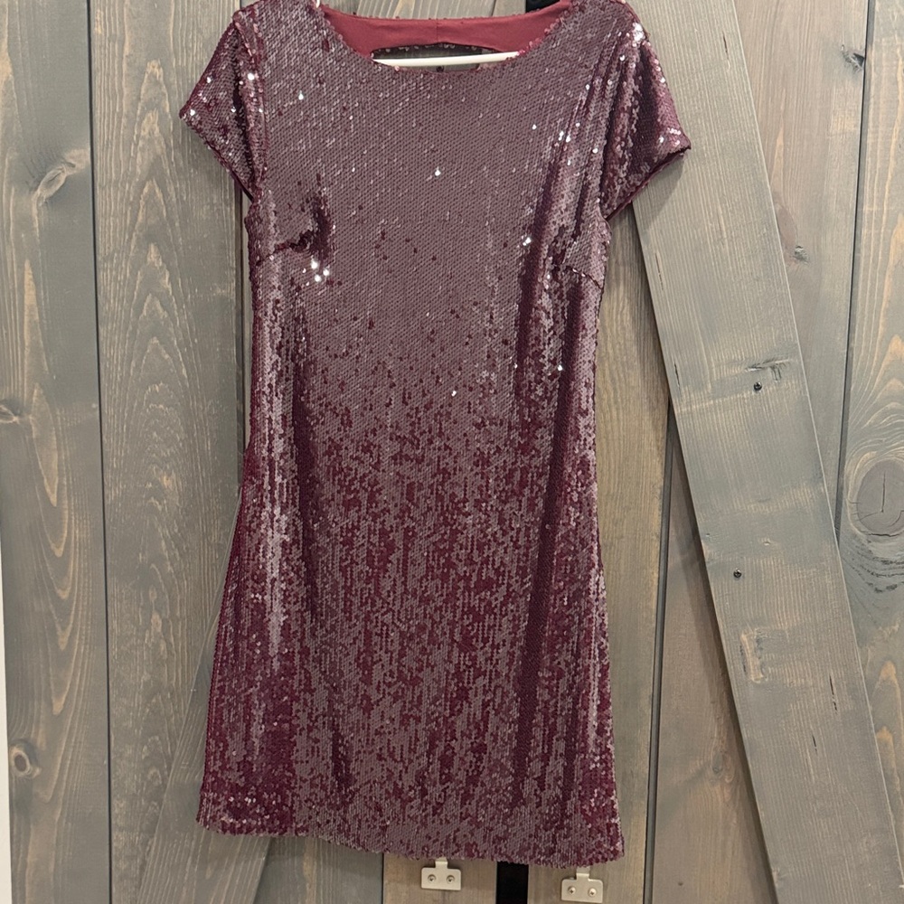 Skies Are Blue Burgundy Sequin Mini Dress